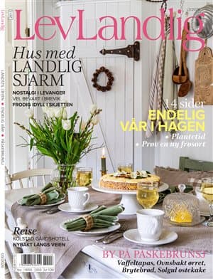 Forside av Lev Landlig